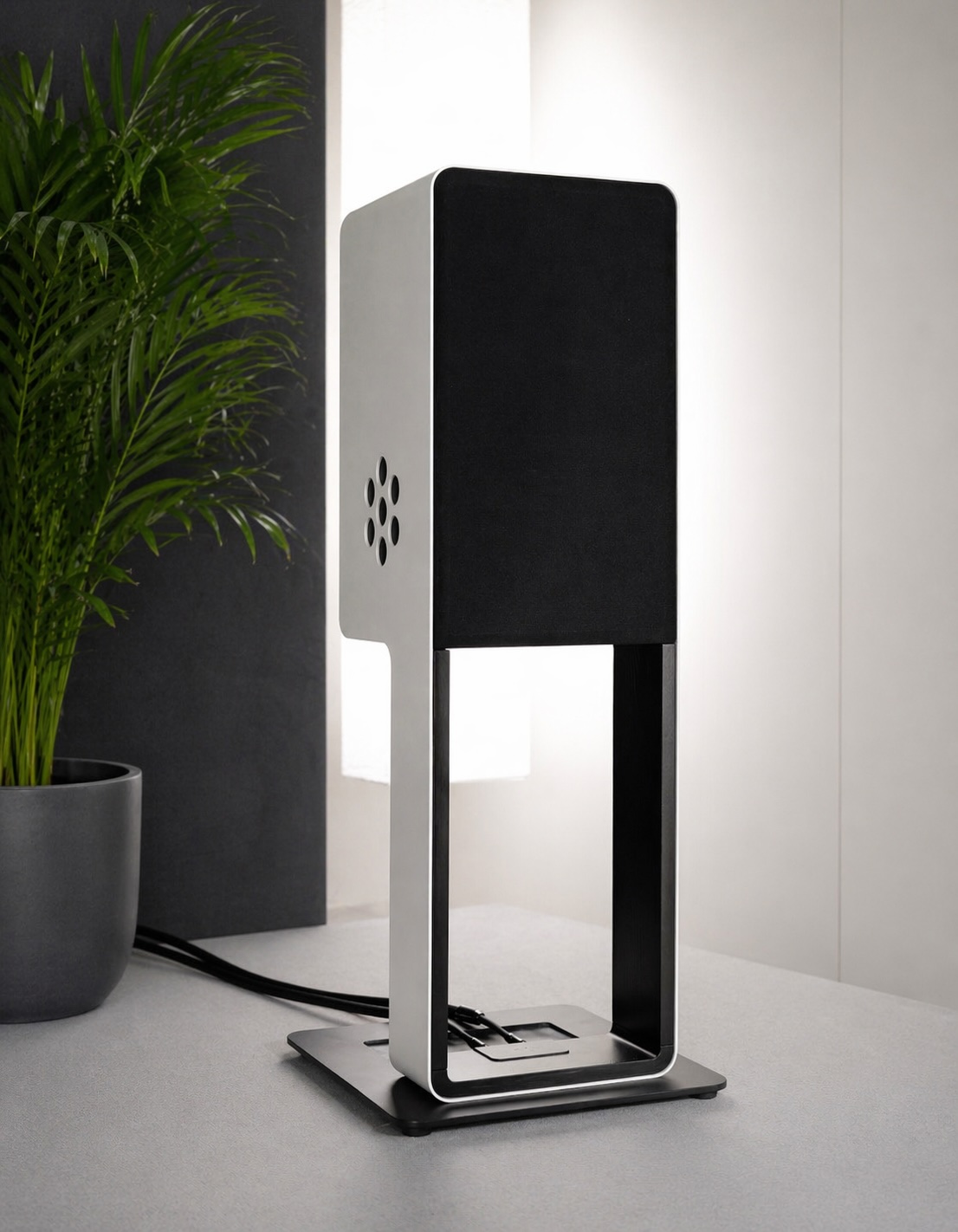 Silent Pound Bloom in a modern interior